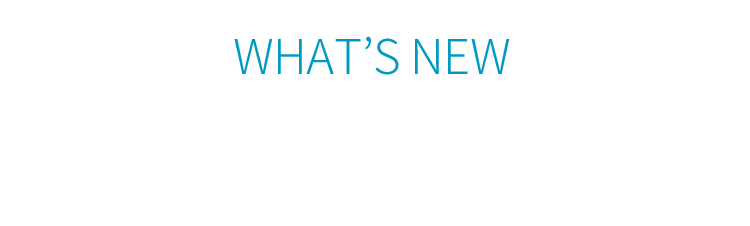 細川としゆき 活動報告